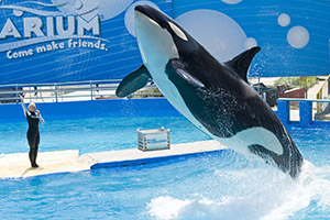 miami-seaquarium