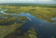 Everglades