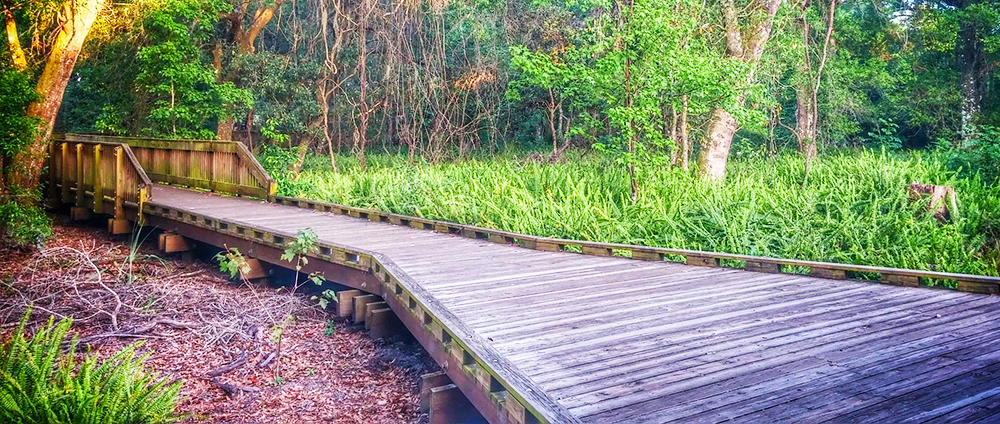 sawgrass lake park