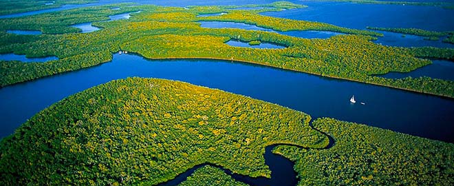 everglades-mocsar