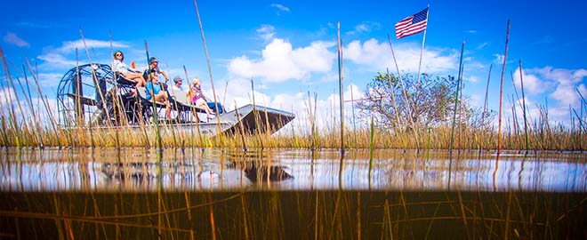 hajos-tura-everglades